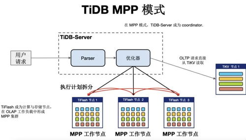 携程 x TiDB丨应对全球业务海量数据增长,一栈式 HTAP 实现架构革新